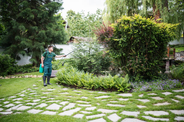 Best Residential Pest Control  in Mont Clare, PA